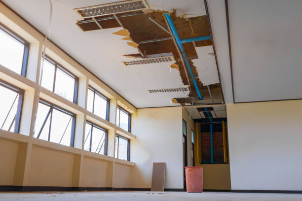 Best Water damage contractors near me  in Highland Beach, FL