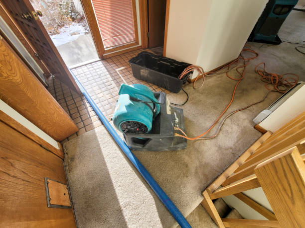 Best Flood damage cleanup  in Highland Beach, FL