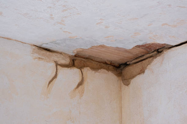 Best Water damage restoration mold remediation  in Highland Beach, FL