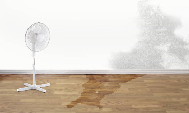 Water damage restoration process in Highland Beach, FL