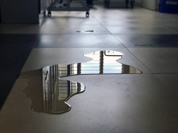Best 24/7 water damage repair  in Highland Beach, FL