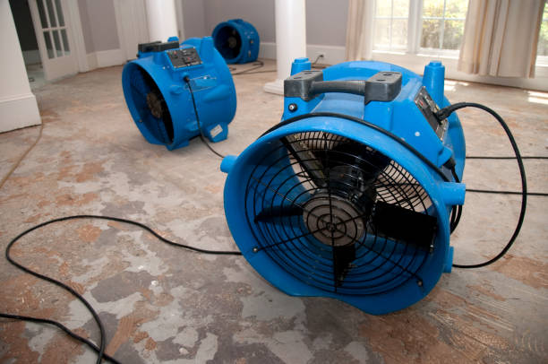 Best Flood restoration services  in Highland Beach, FL