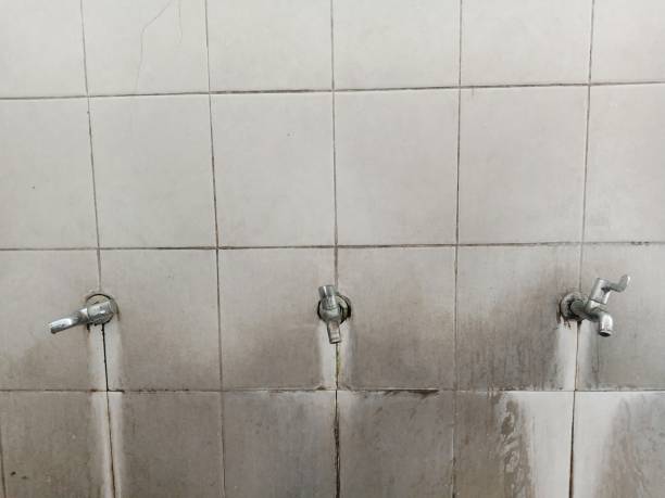 Best Professional water damage repair  in Highland Beach, FL