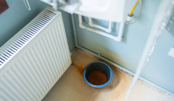 Best Water damage restoration services  in Highland Beach, FL