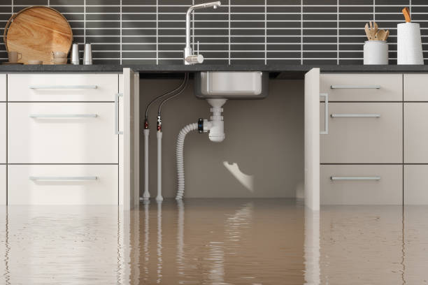Best Ceiling water damage repair  in Highland Beach, FL